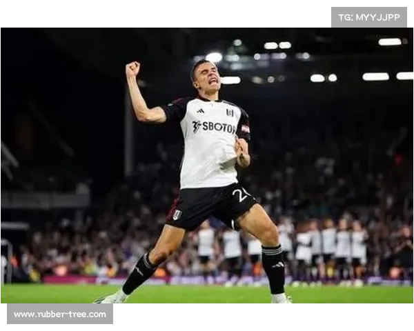 帕利尼亚冬窗加盟拜仁背后动机深度解析与未来展望